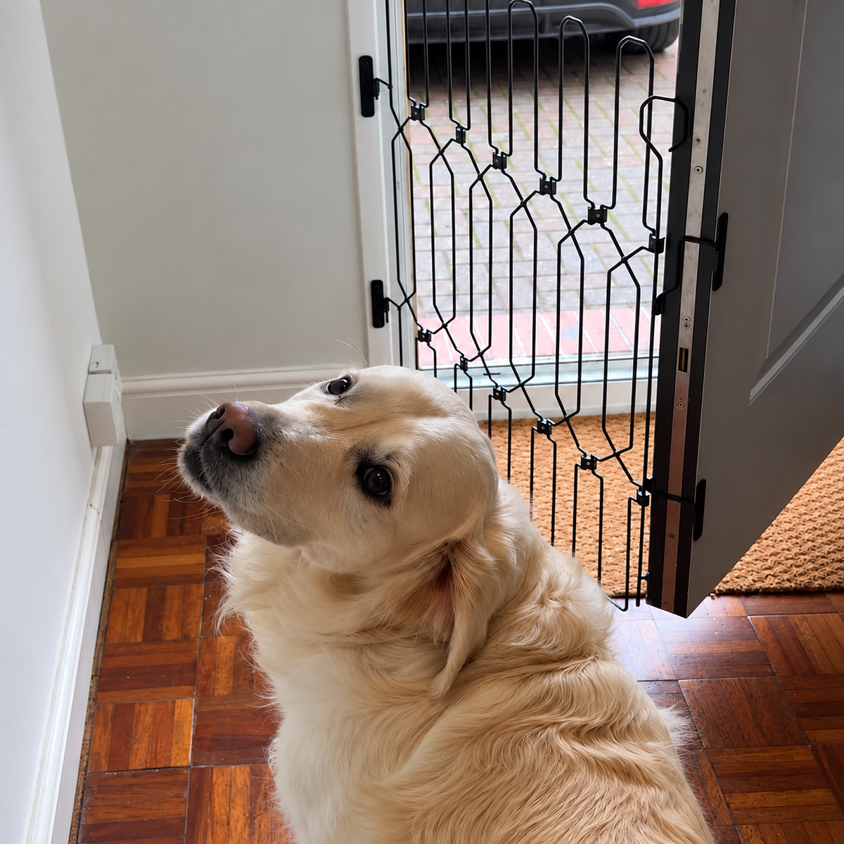 Dog Guard ExpandGate