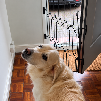 Dog Guard ExpandGate